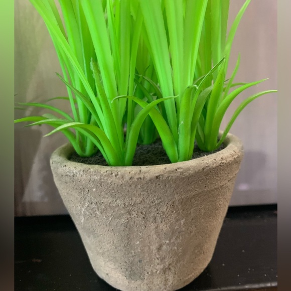 Set of Two Artificial Plants in Ceramic Pots. Grass or Lilly - Picture 3 of 8